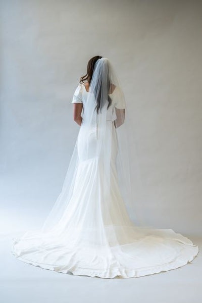 A back view full body shot of a simple cathedral length veil with sparkles spread over the train of a wedding gown.