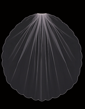189 #0 default Ivory/Silver thumbnail