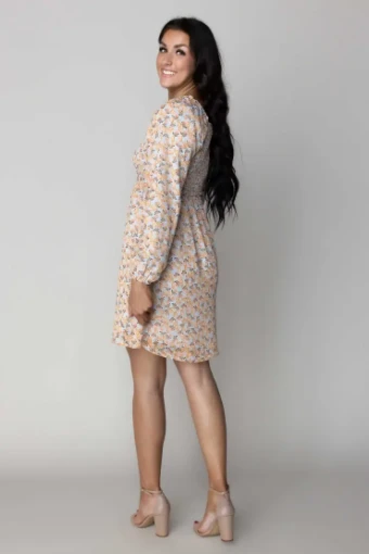 Summit #13 Blue/Orange thumbnail